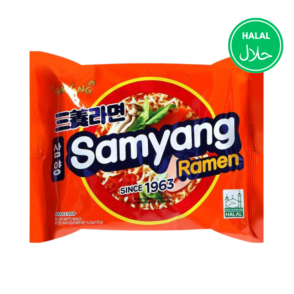 Samyang Ramen Instant Nudeln - 120g